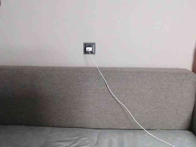 RoyAngela webcam
