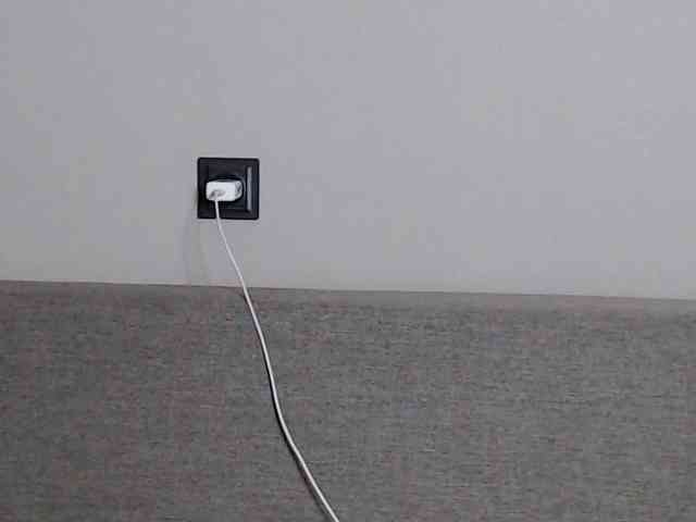 RoyAngela webcam
