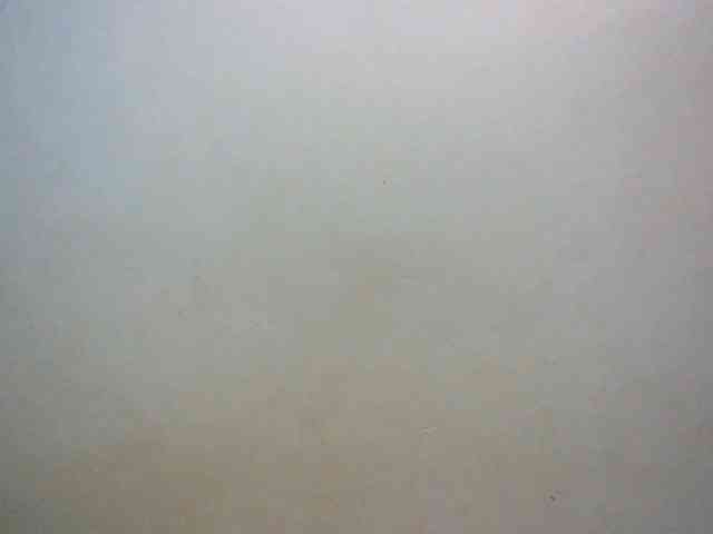 LustyLyn webcam