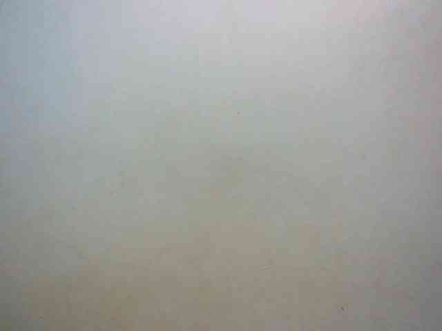 LustyLyn webcam