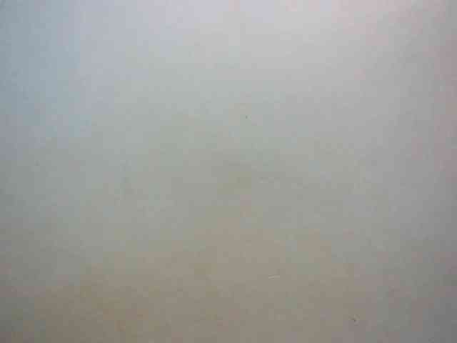 LustyLyn webcam