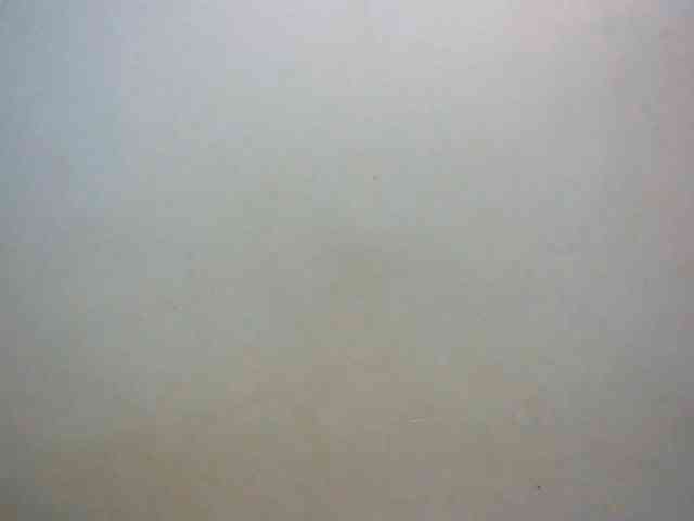 LustyLyn webcam