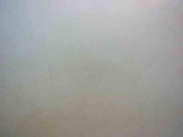 LustyLyn webcam