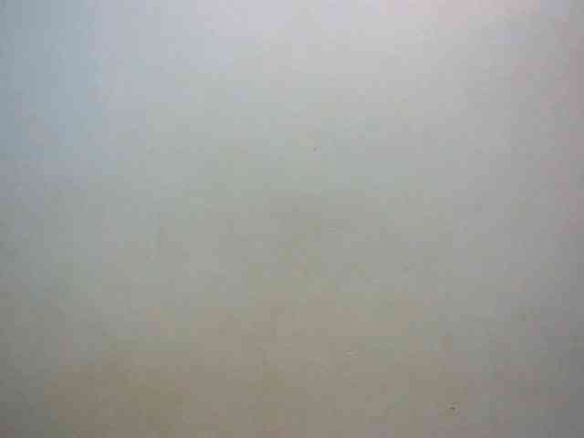 LustyLyn webcam