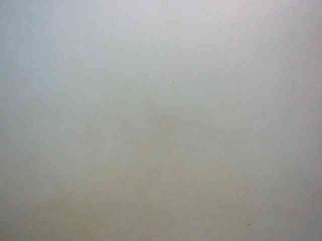 LustyLyn webcam