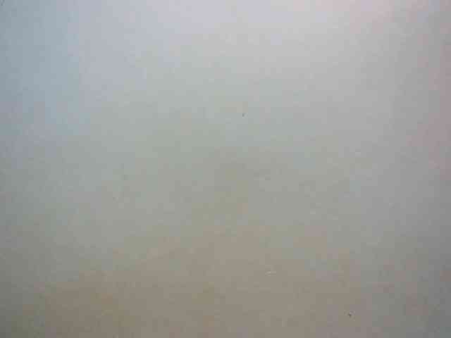 LustyLyn webcam