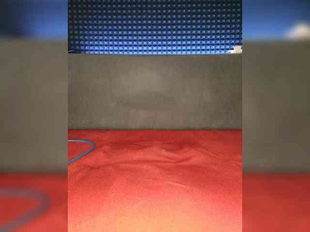 LunaNylon webcam