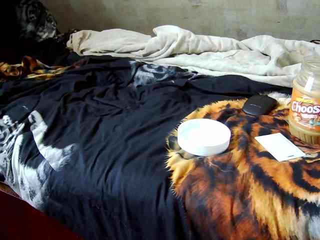 Nik44-244 Sex Cam Show