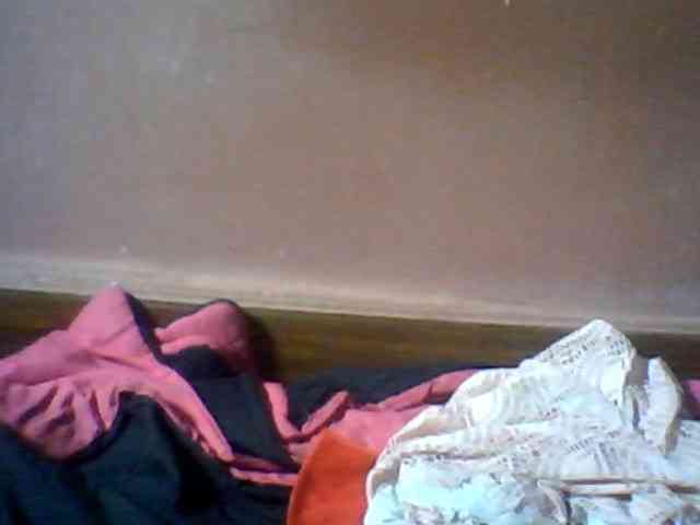 Balanchega webcam