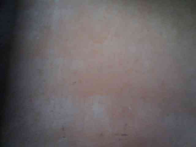 Balanchega webcam