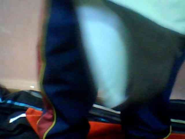 Balanchega