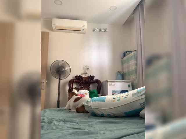Phoebe90 webcam