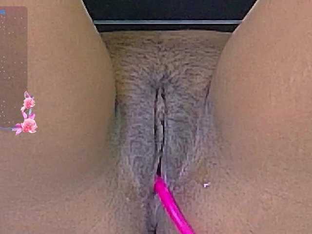 shyblacksweetiee live cam on BongaCams