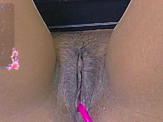 shyblacksweetiee live cam on BongaCams