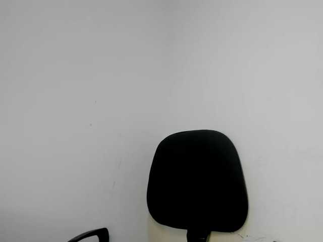 NinaCollinss live cam on BongaCams