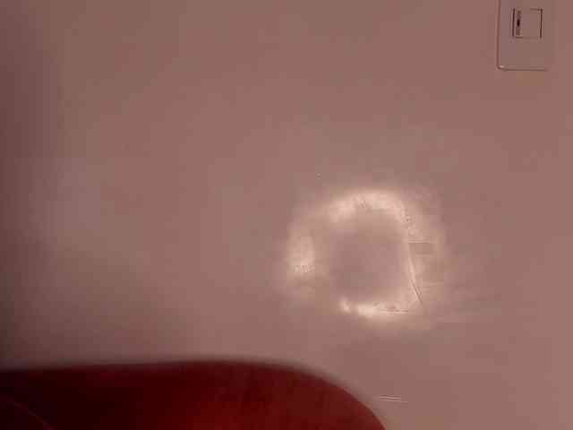 NinaCollinss webcam