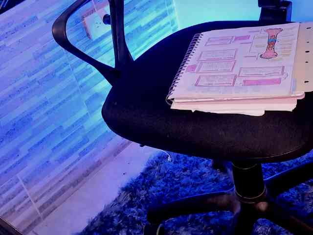 NinaCollinss webcam