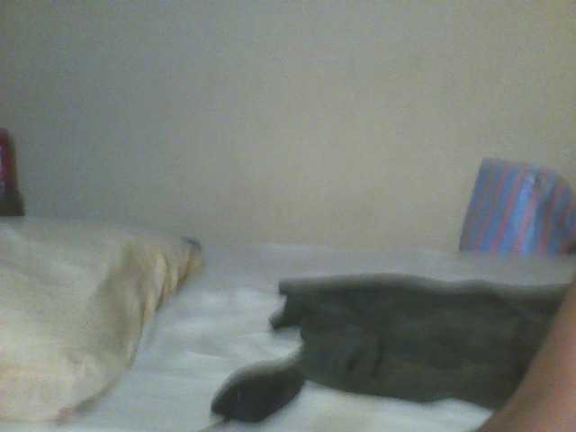 Beauty-Queen1 live cam on BongaCams