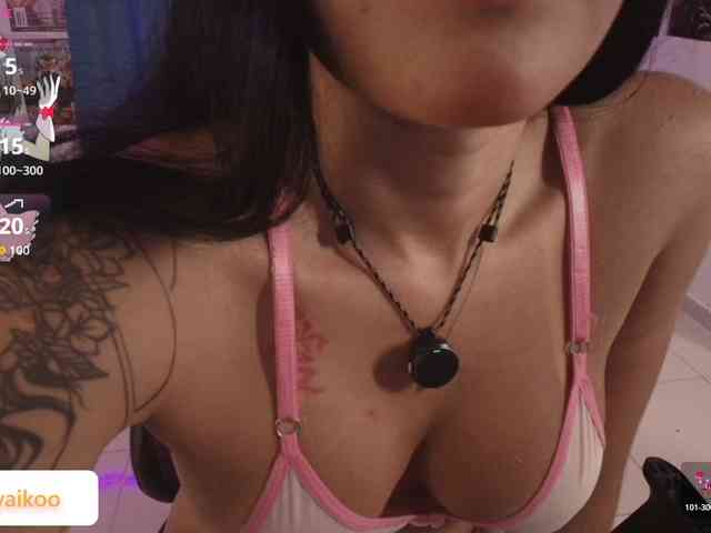 Kittyaikoo webcam