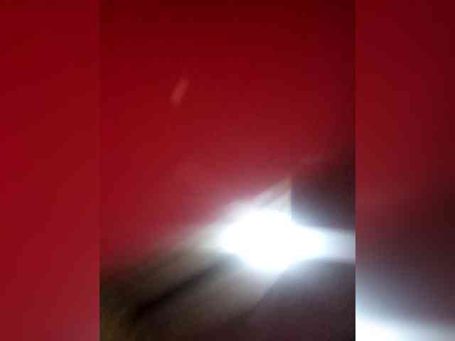 Saraimilf01