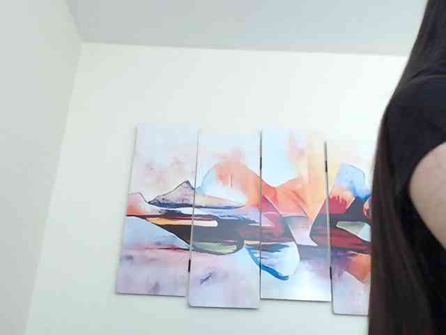 FlakisHot webcam