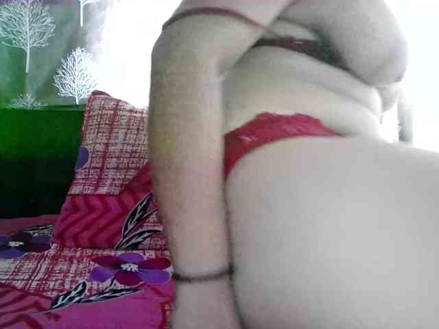 JennyDolphin