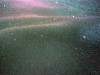 Avrilhunt's Live Webcam