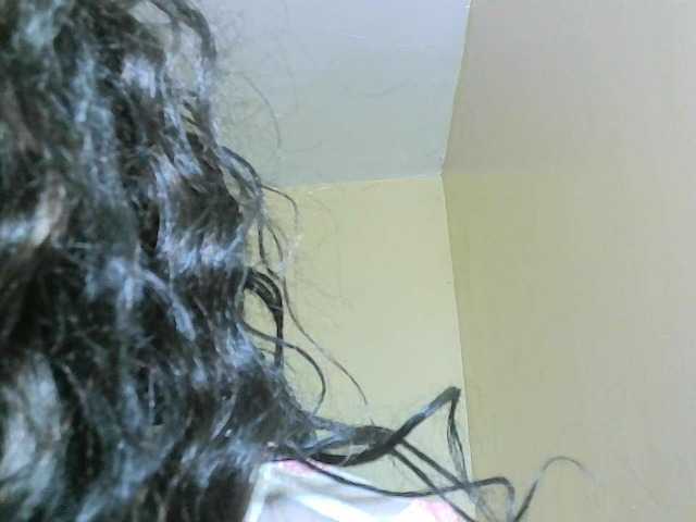 Avrilhunt