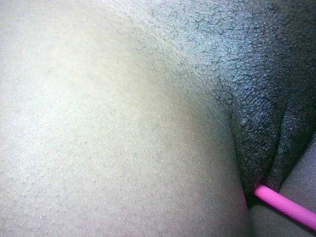 Preview of avrilhunt