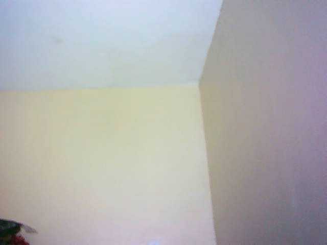 Preview of avrilhunt