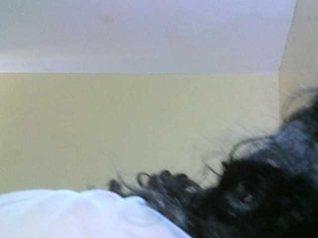 Avrilhunt