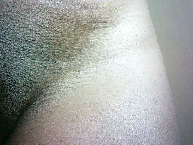 Preview of avrilhunt