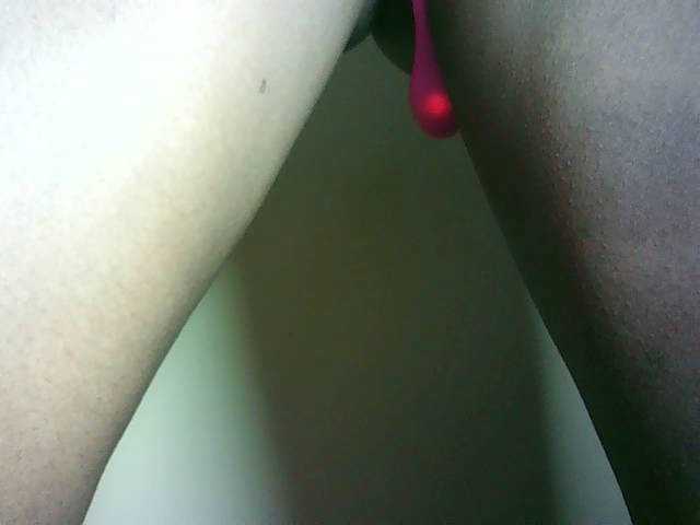 Preview of avrilhunt