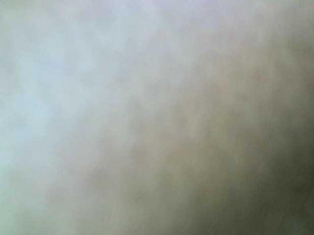 Preview of avrilhunt