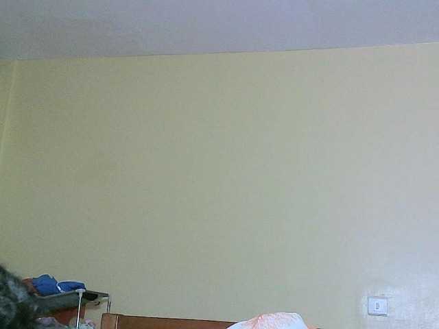 Avrilhunt live cam on BongaCams