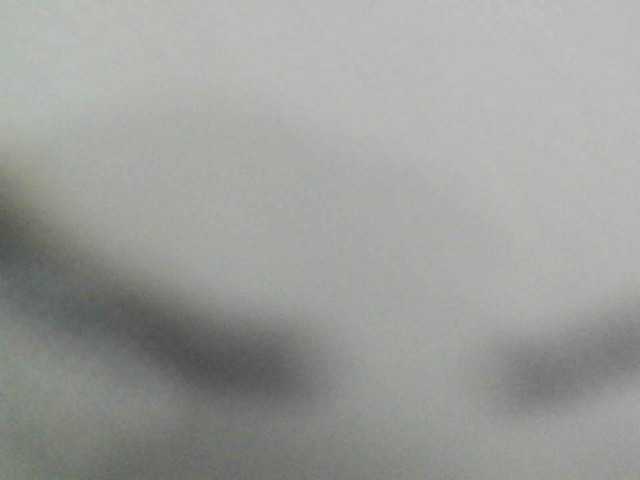 Preview of avrilhunt