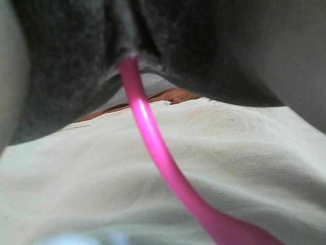 Avrilhunt live cam on BongaCams