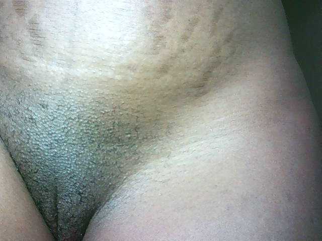 Preview of avrilhunt