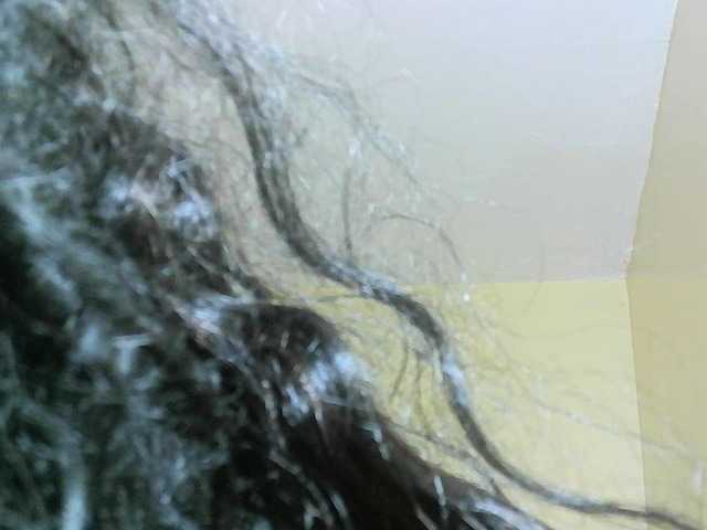 Avrilhunt live cam on BongaCams