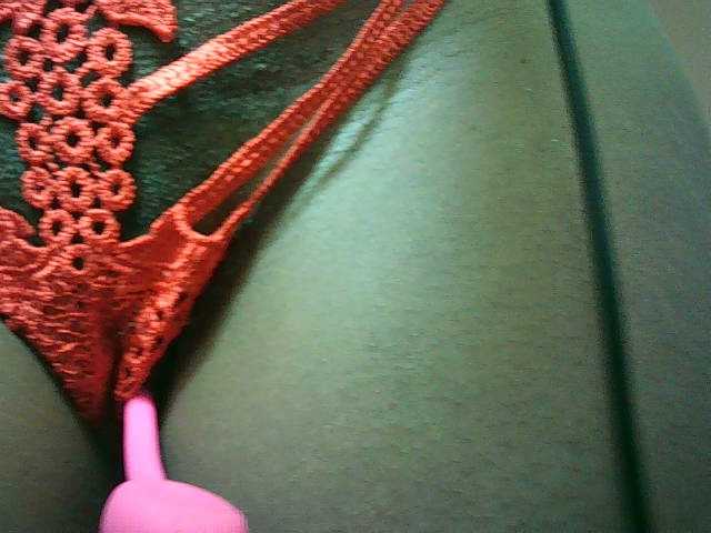 Preview of avrilhunt