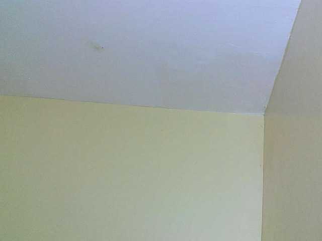 Avrilhunt live cam on BongaCams