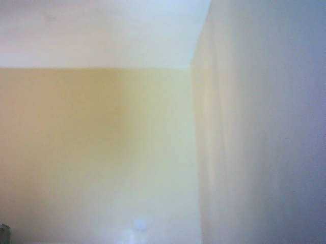 Preview of avrilhunt