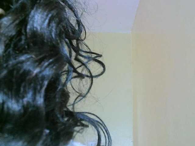 Avrilhunt