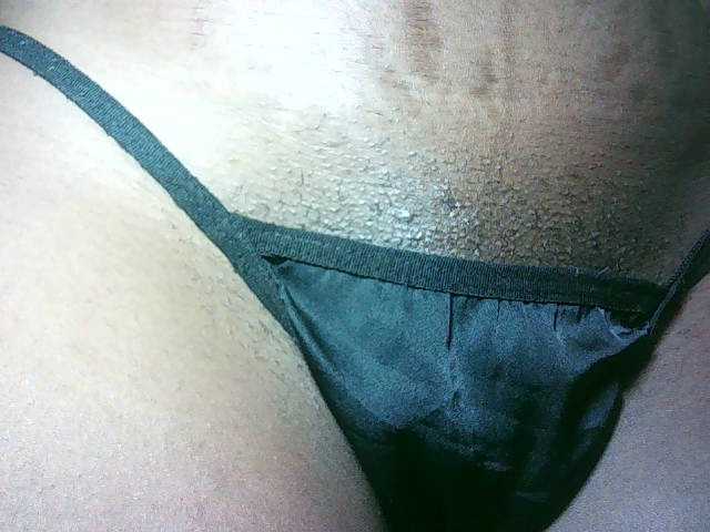 Preview of avrilhunt