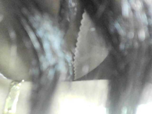 Avrilhunt live cam on BongaCams