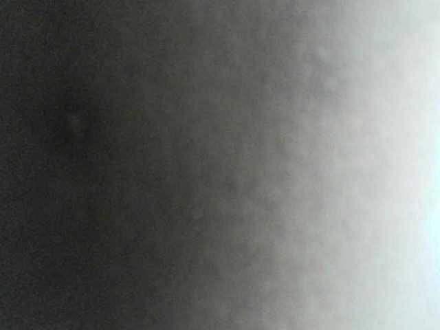 Avrilhunt live cam on BongaCams
