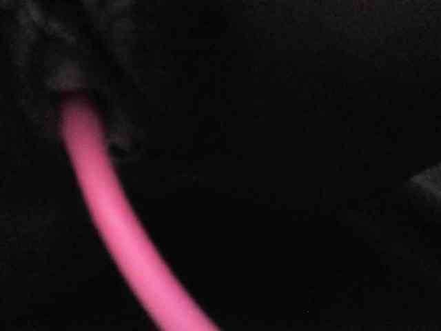 Avrilhunt webcam