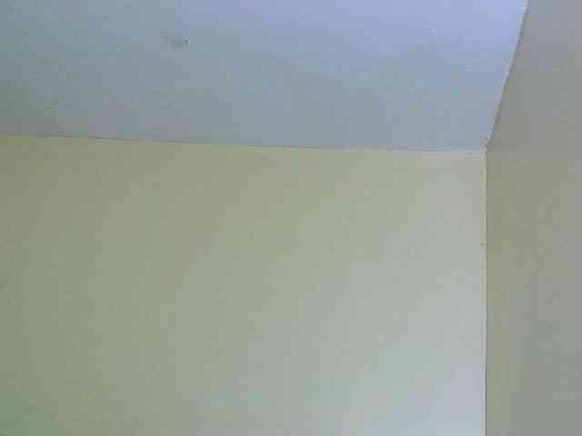 Avrilhunt webcam