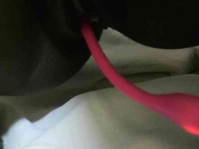 Avrilhunt webcam