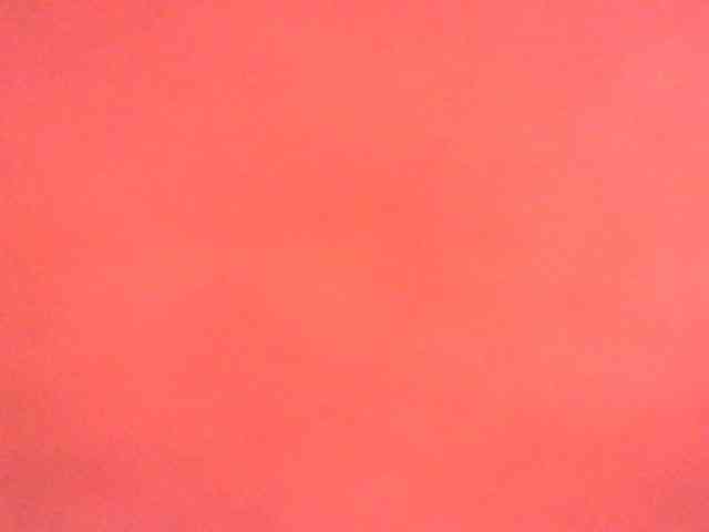 Avrilhunt webcam